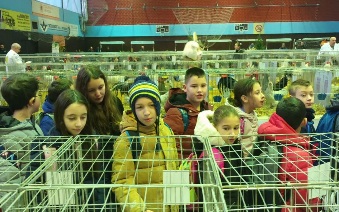 Посјета изложби ситних животиња